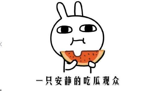 黑料吃瓜最新事件更新,吃瓜群众热议事件持续发酵！”