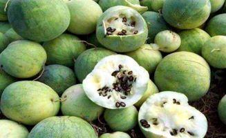 9l视频吃瓜黑料一区二区,一区二区吃瓜黑料大揭秘